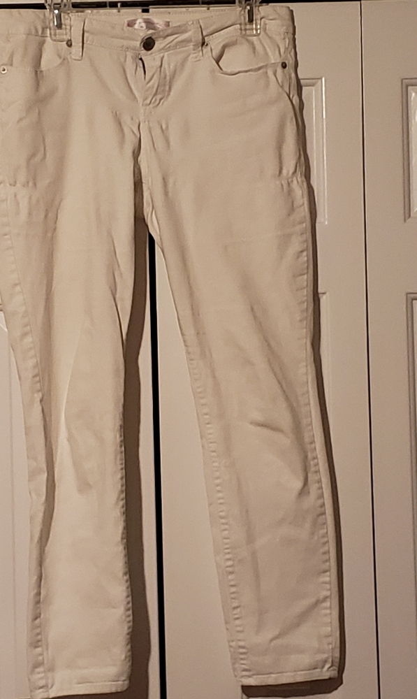 Ladies pants